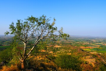 City View, landscape View, Blue sky, evening, Farms View