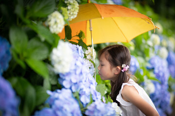 紫陽花の香りを嗅ぐ少女