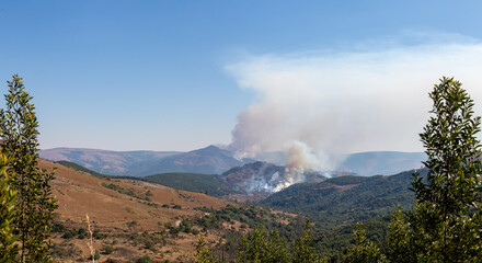 wildfires with mountain and dry grass road leading to fire with smoke