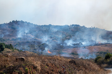 wildfires with mountain and dry grass road leading to fire with smoke