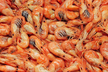 Shrimps background. Palaemon elegans european rockpool shrimp. Fresh prawn. Seafood background.