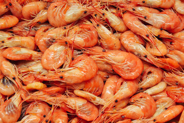 Shrimps background. Palaemon elegans european rockpool shrimp. Fresh prawn. Seafood background.