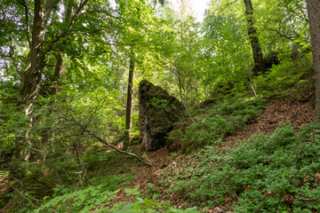 Elbsandsteingebirge in Sachsen (Sächsische Schweiz)