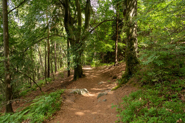 Elbsandsteingebirge in Sachsen (Sächsische Schweiz)