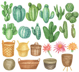 Set of cacti and pots
