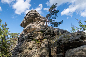 Elbsandsteingebirge in Sachsen (Sächsische Schweiz)