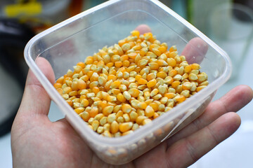Male adult hand holding bowl full of corn kernel