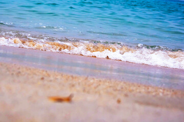 sea wave is breaking on the shore, tide, beach