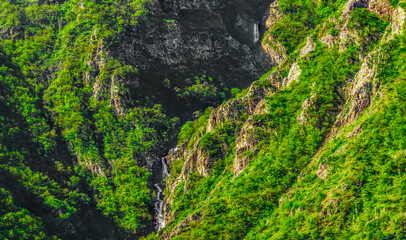 Fototapeta na wymiar the waterfall in the mountains with green tree