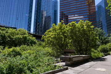 Fototapeta premium Empty Bench at Dutch Kills Green Park with Plants and Modern Skyscrapers in the Background in Long Island City Queens New York