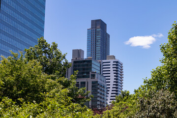 Modern Glass Skyscrapers seen from Dutch Kills Green Park with Plants and Trees during Spring in...