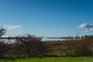 Ruegen Natur Sonne Farbe