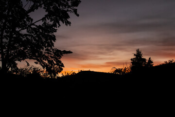 sunset over the forest