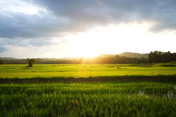 Beautuful landscape in green farmland near valley mountain and destination of sunset in Thailand