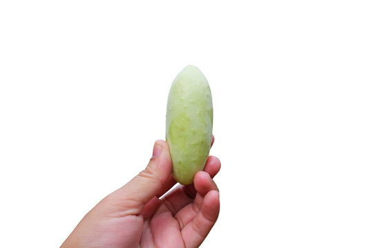 Woman Hand Holding Wild Cucumber Is Isolated On White Background.