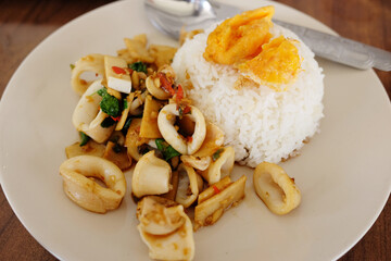 Steamed rice topped with fried squid with basil leaves and Fried Egg on white plate is Famous Thai food.