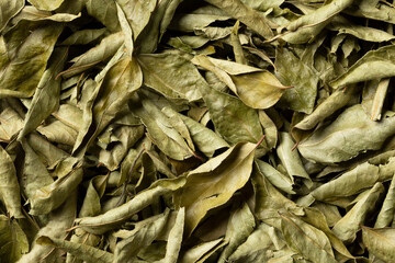 Dried curry leaves close up
