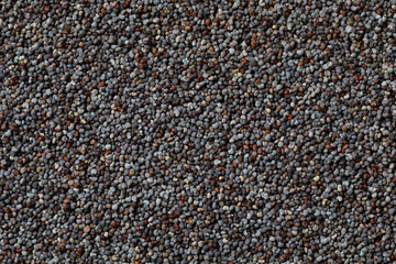 Black poppy seed close up