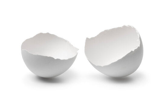 White broken egg shells close up