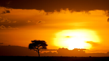 Fototapeta na wymiar Sunset and beautiful cloudscape in the Maasai Mara, Kenya