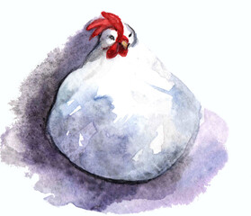 Watercolor farm animals. Chicken, hen, cock on the white background. Farm logo illustration. 