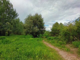 path among green grass, shrubs and trees against a cloudy sky before the rain