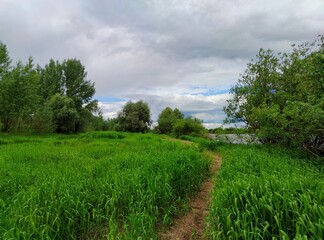 a path among grass and trees on the green bank of the river against a cloudy sky