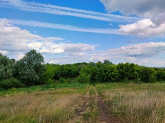 country road leading from a field to a green thicket of trees against a beautiful blue sky with white traces of flying airplanes