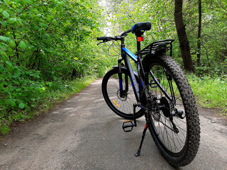 
bike stands on a forest road