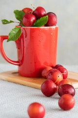 Fresh raw plums in red cup, healthy sweet food