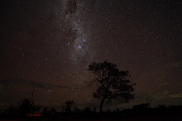 Obraz na płótnie Canvas Milky Way and Beautiful Stars in the Night Sky of the Australian Outback
