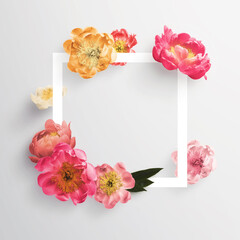 Peony flower scene logo background