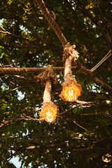 Decorative garden lighting design made with bulbs and thick rope