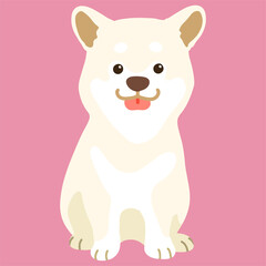Flat colored white Shiba Inu sitting front view