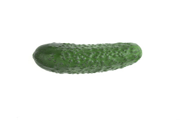 cucumber isolated on white background