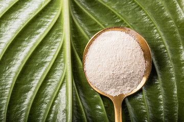 Collagen powder over green textured leaf background with copy space. Dietary nutritional supplement