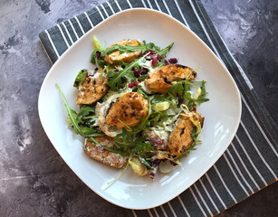 Grilled chicken fillets strip on mixed greens salad and yogurt dressing.  Classic summer dish.