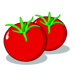 fresh tomatoes vector can use for elements design or grocery store business