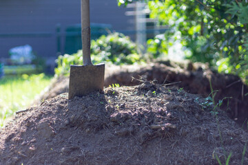 Garden shovel on compost. Freshly composted earth from compost bin. nutrient rich vegetables converted to soil.