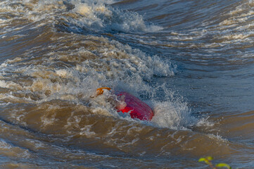 a kayaker rolling a kayak