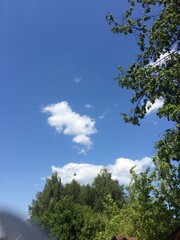 Красивое небо