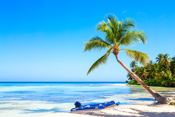 Palm tree on the caribbean tropical beach with rubber boat. Saona Island, Dominican Republic....