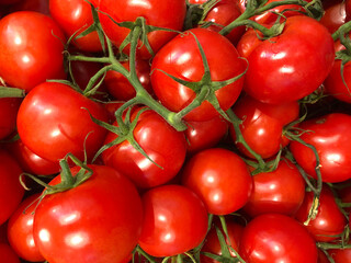 Organic, fresh tomatoes on the vine. Healthy food concept.