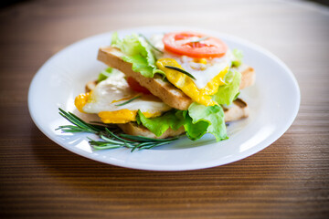 fried toasts with egg, salad, tomato in a plate