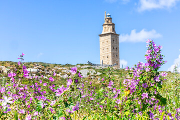 Tower Hercules Coruna Spain