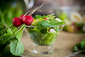 spring salad with arugula, boiled eggs, fresh radish, salad leaves in a glass bowl