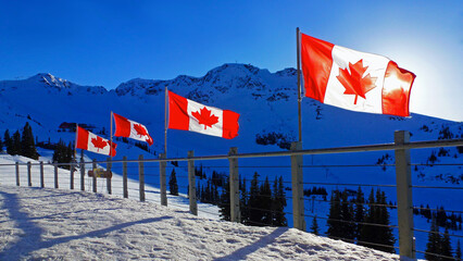 Four canadian maple leaf flags on the top of Blackcomb mountain in Whistler. Big  snowy mountain in the background.