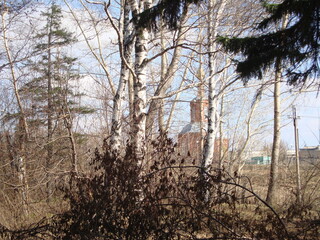 Old cemetery, Andzero-Sudzensk, Kemerovo region, Russia, 2011 (7)