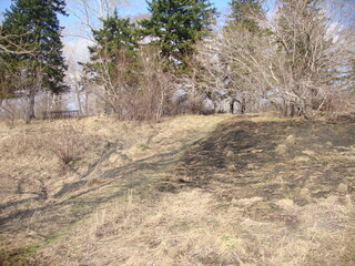 Old cemetery, Andzero-Sudzensk, Kemerovo region, Russia, 2011 (4)