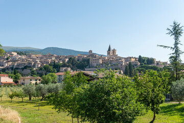 Fototapeta na wymiar panorama of the town of spello province of perugia